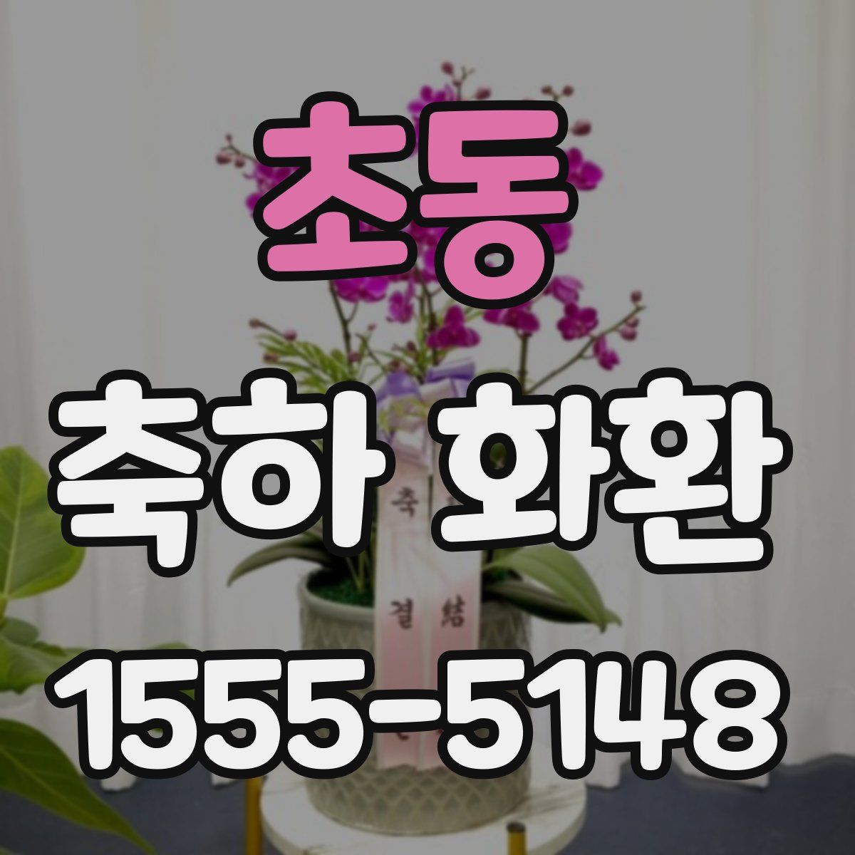 초동 축하 화환