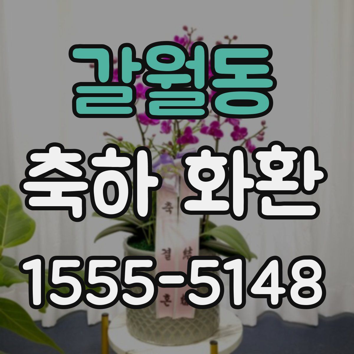 갈월동 축하 화환