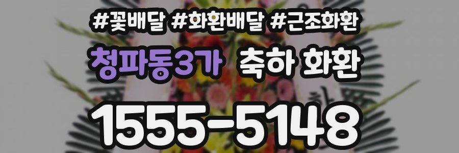 청파동3가 축하 화환
