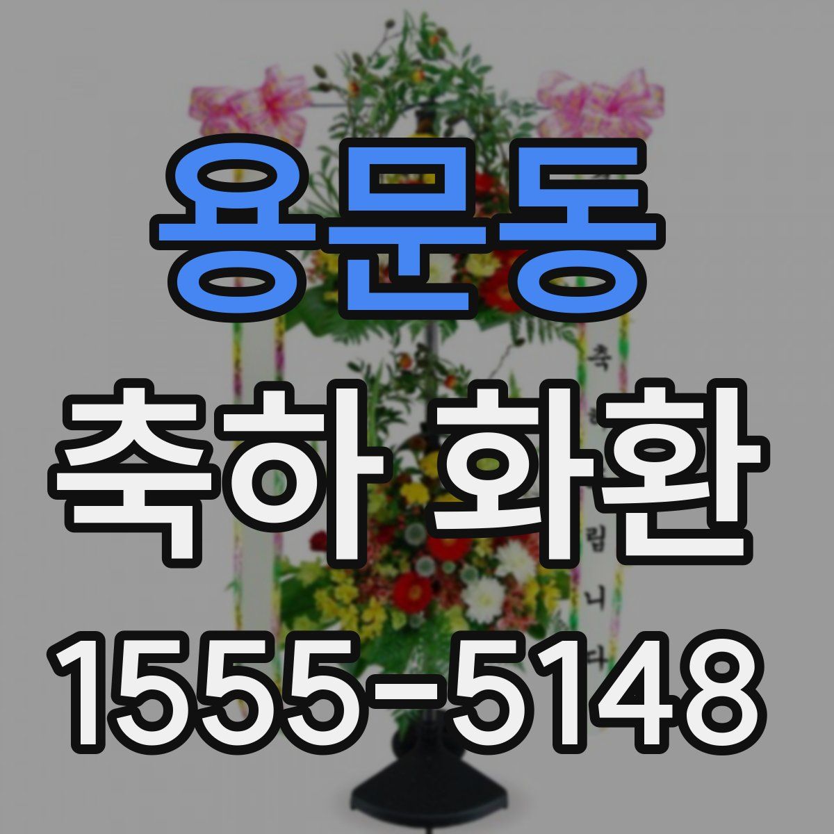 용문동 축하 화환