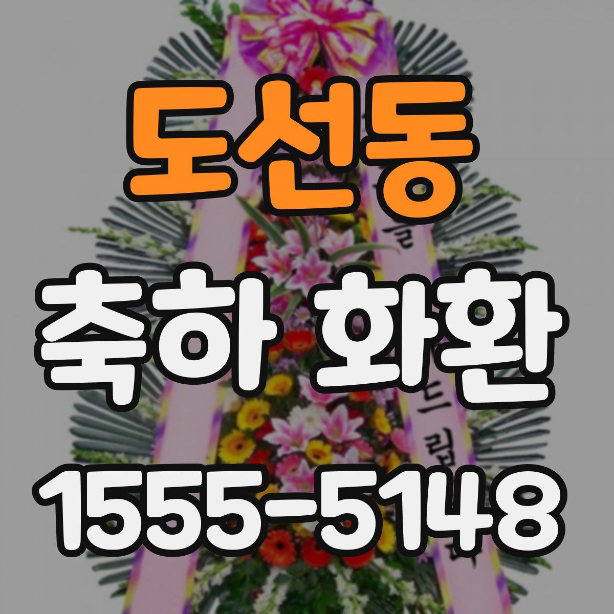 도선동 축하 화환
