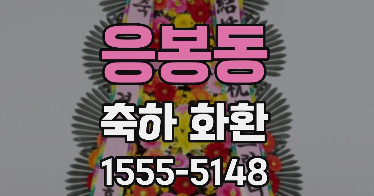 응봉동 축하 화환