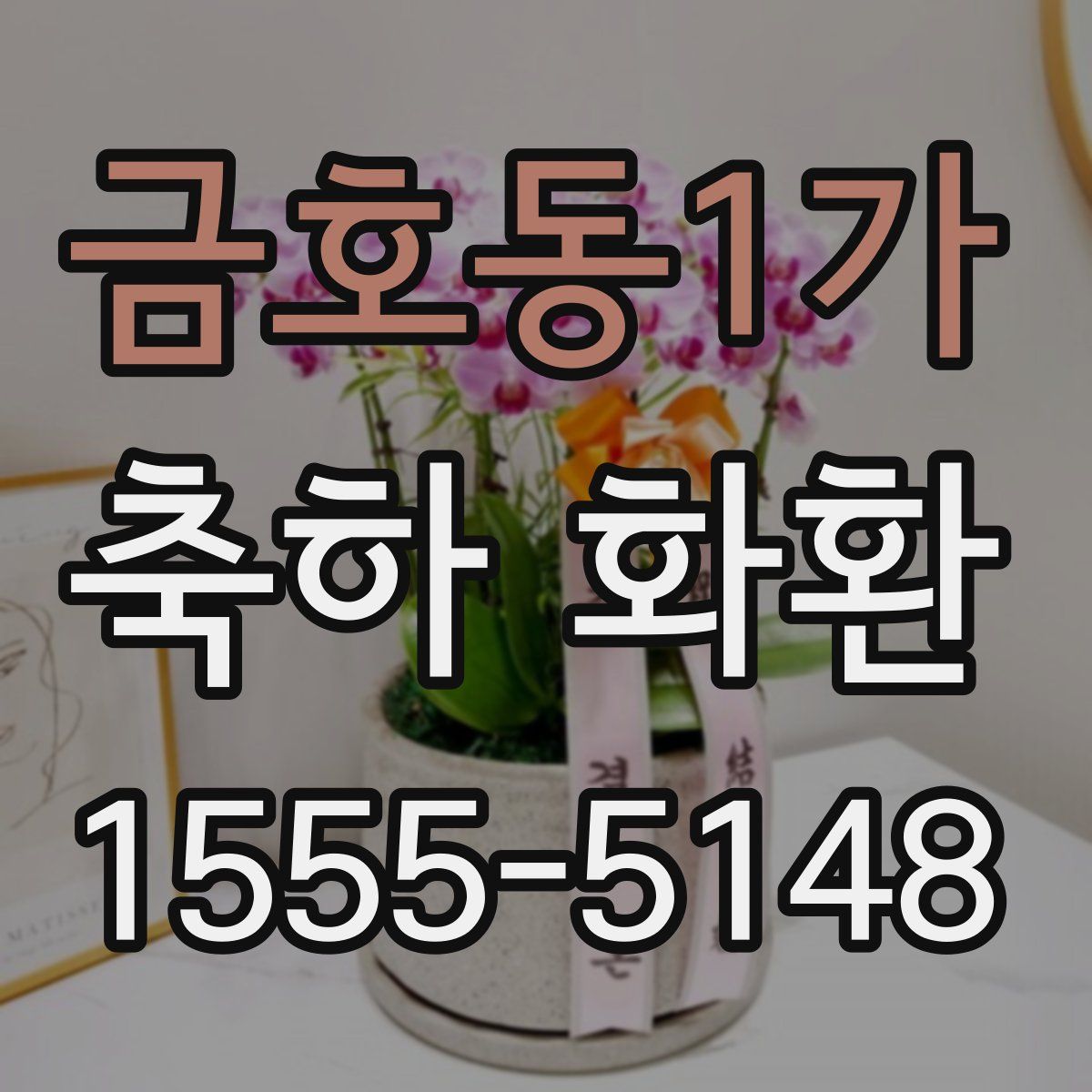 금호동1가 축하 화환