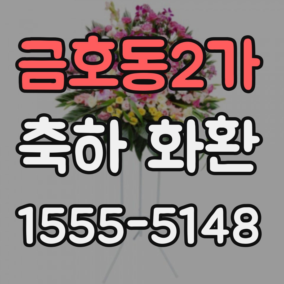 금호동2가 축하 화환