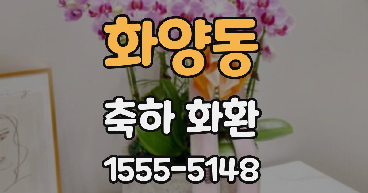 화양동 축하 화환