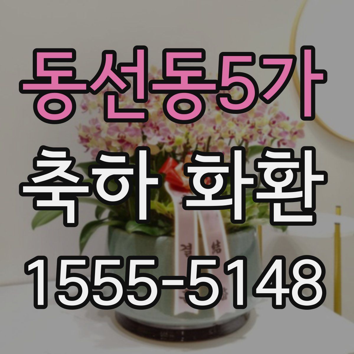 동선동5가 축하 화환