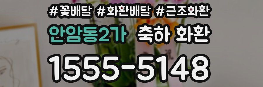 안암동2가 축하 화환