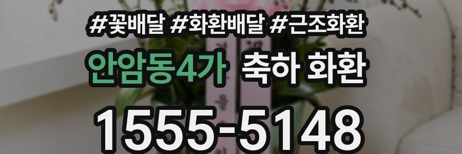 안암동4가 축하 화환