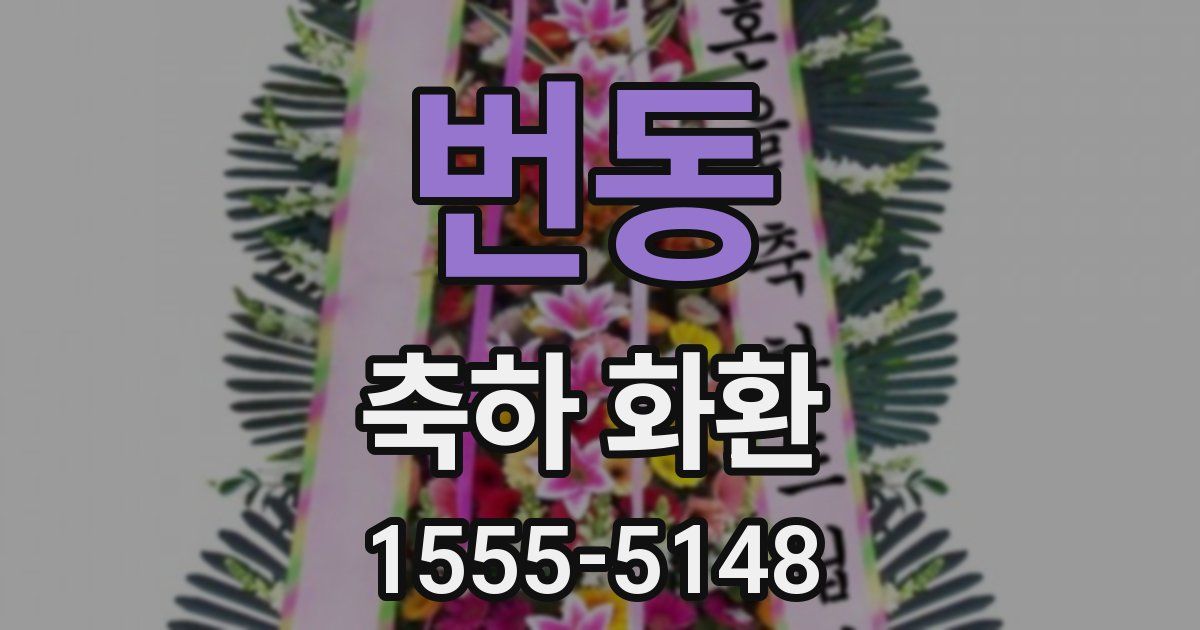 번동 축하 화환