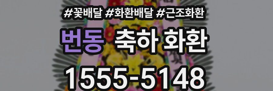 번동 축하 화환