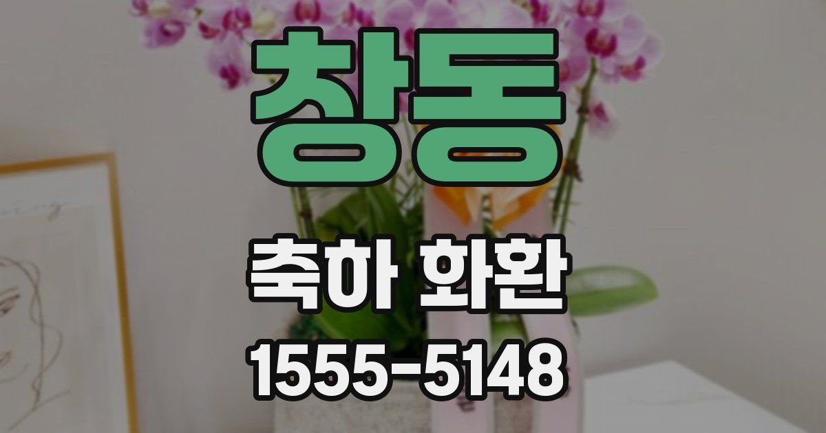 창동 축하 화환