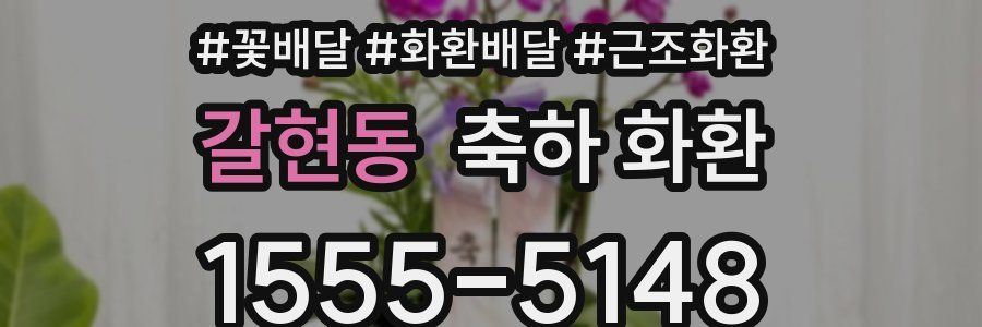 갈현동 축하 화환