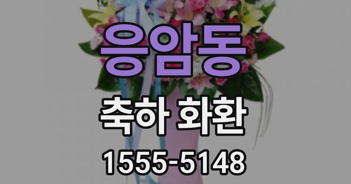 응암동 축하 화환