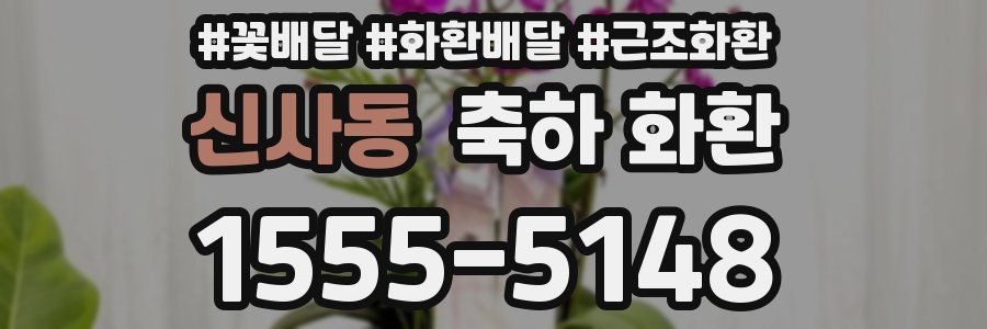 신사동 축하 화환