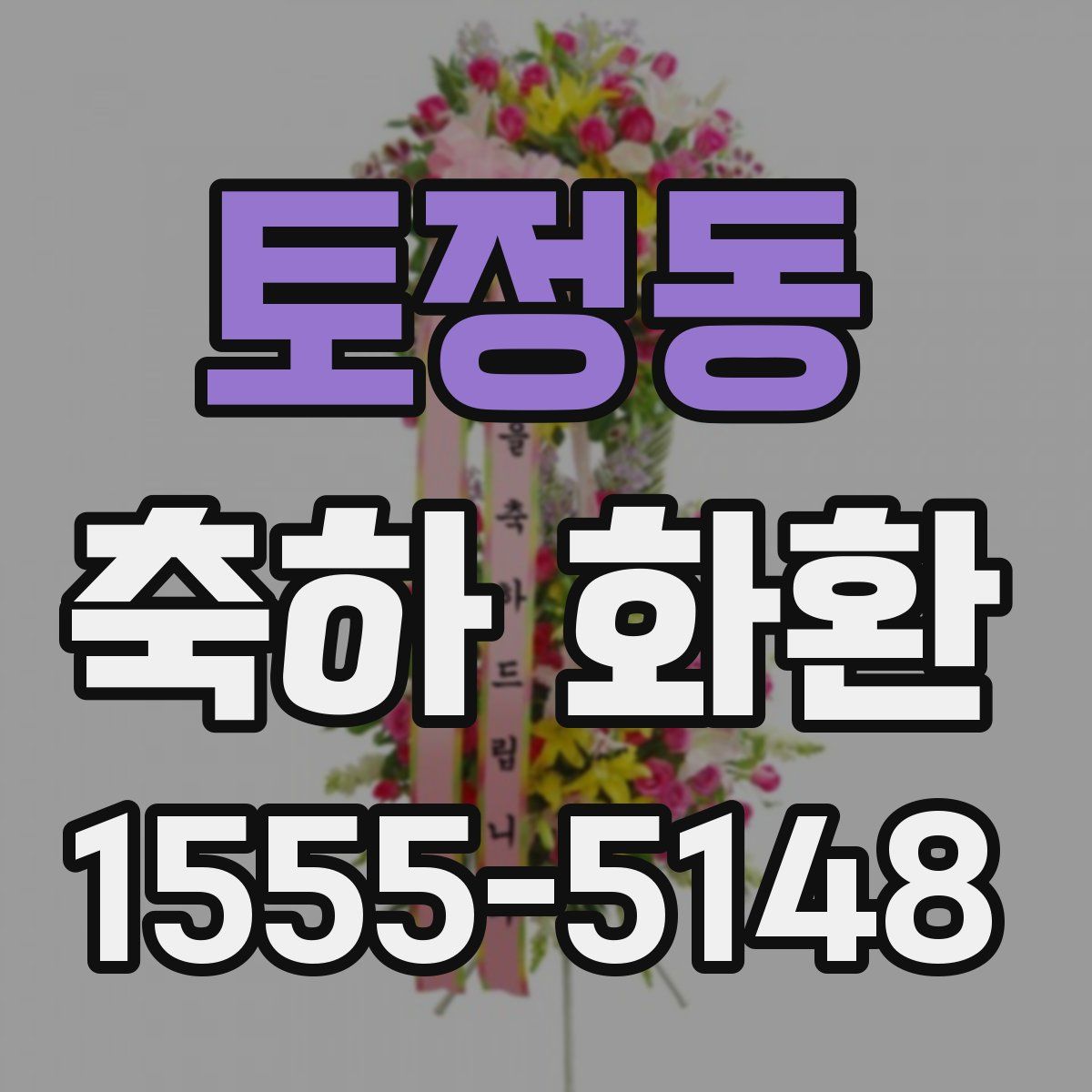 토정동 축하 화환