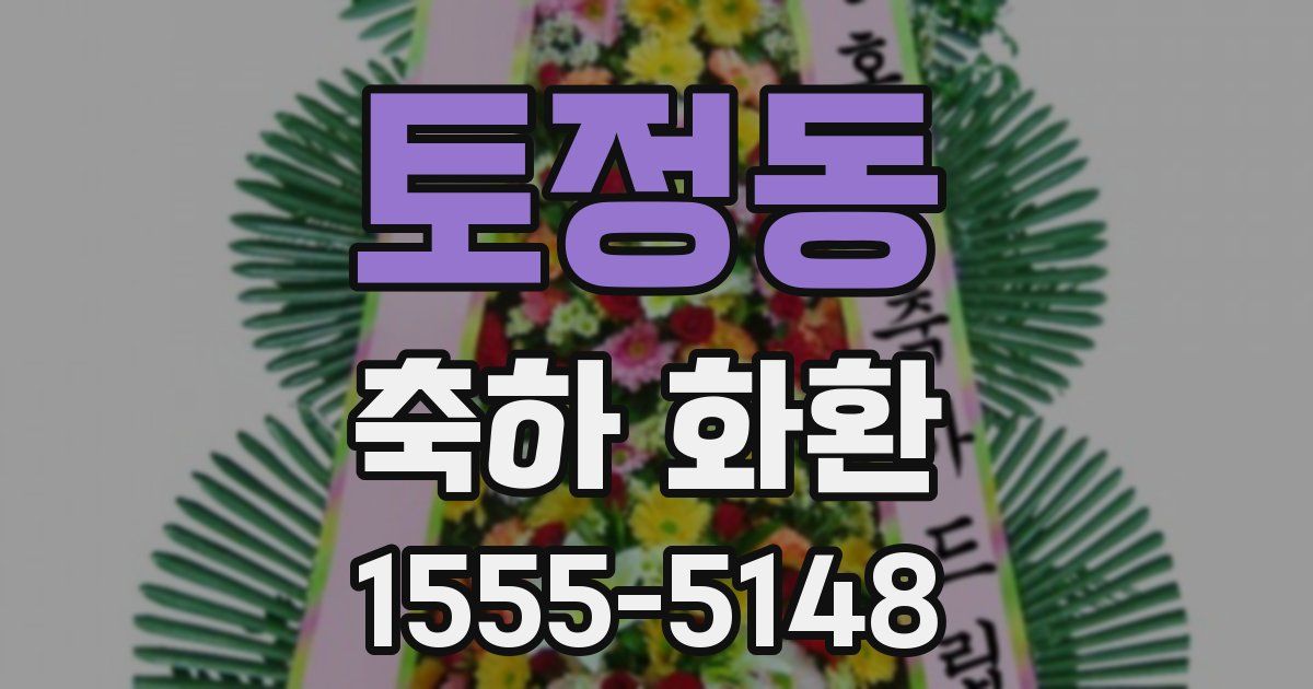 토정동 축하 화환