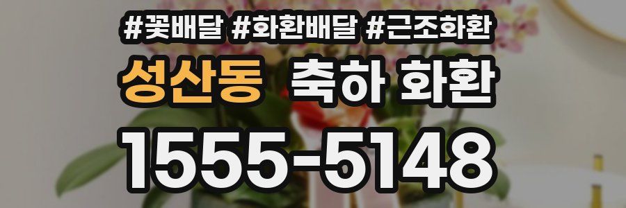 성산동 축하 화환
