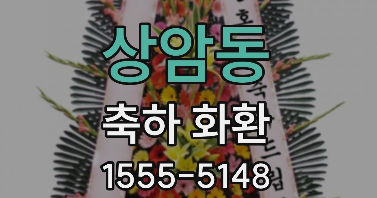 상암동 축하 화환