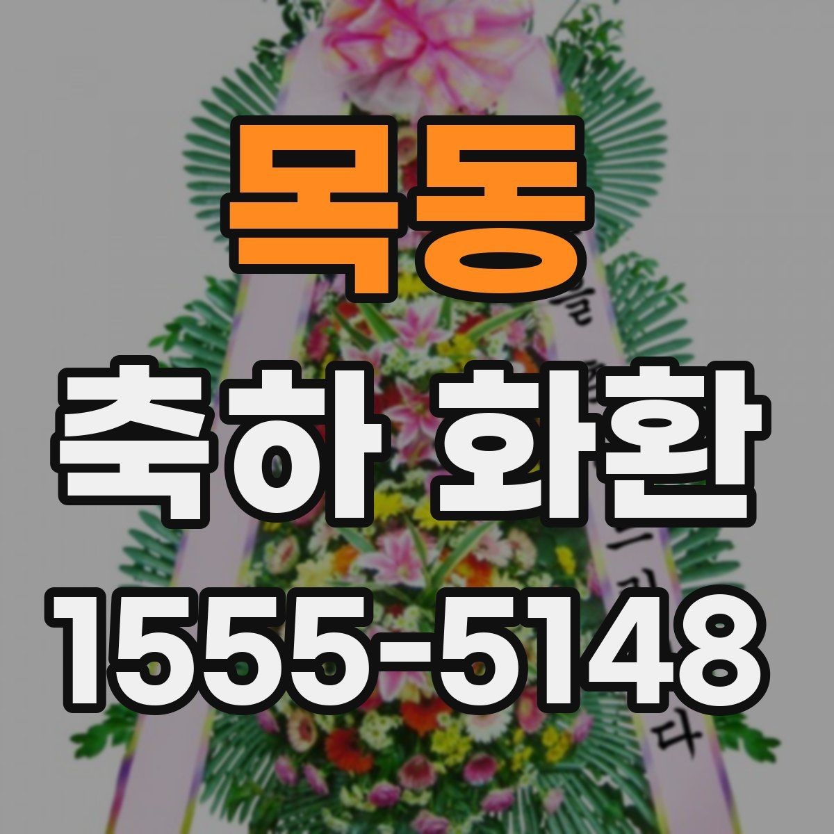 목동 축하 화환 기본 구성과 주문 팁