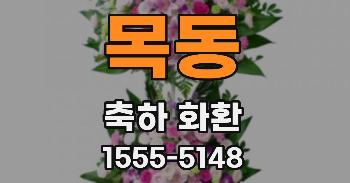 목동 축하 화환
