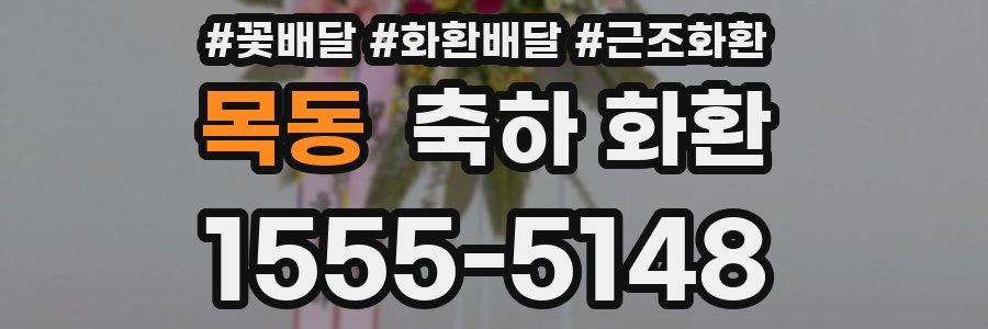 목동 축하 화환