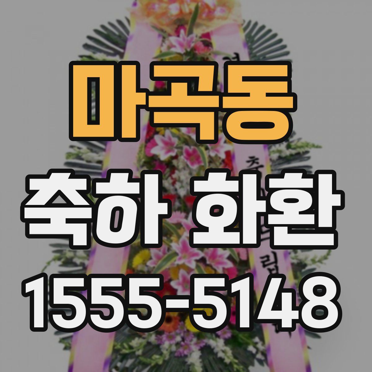 마곡동 축하 화환