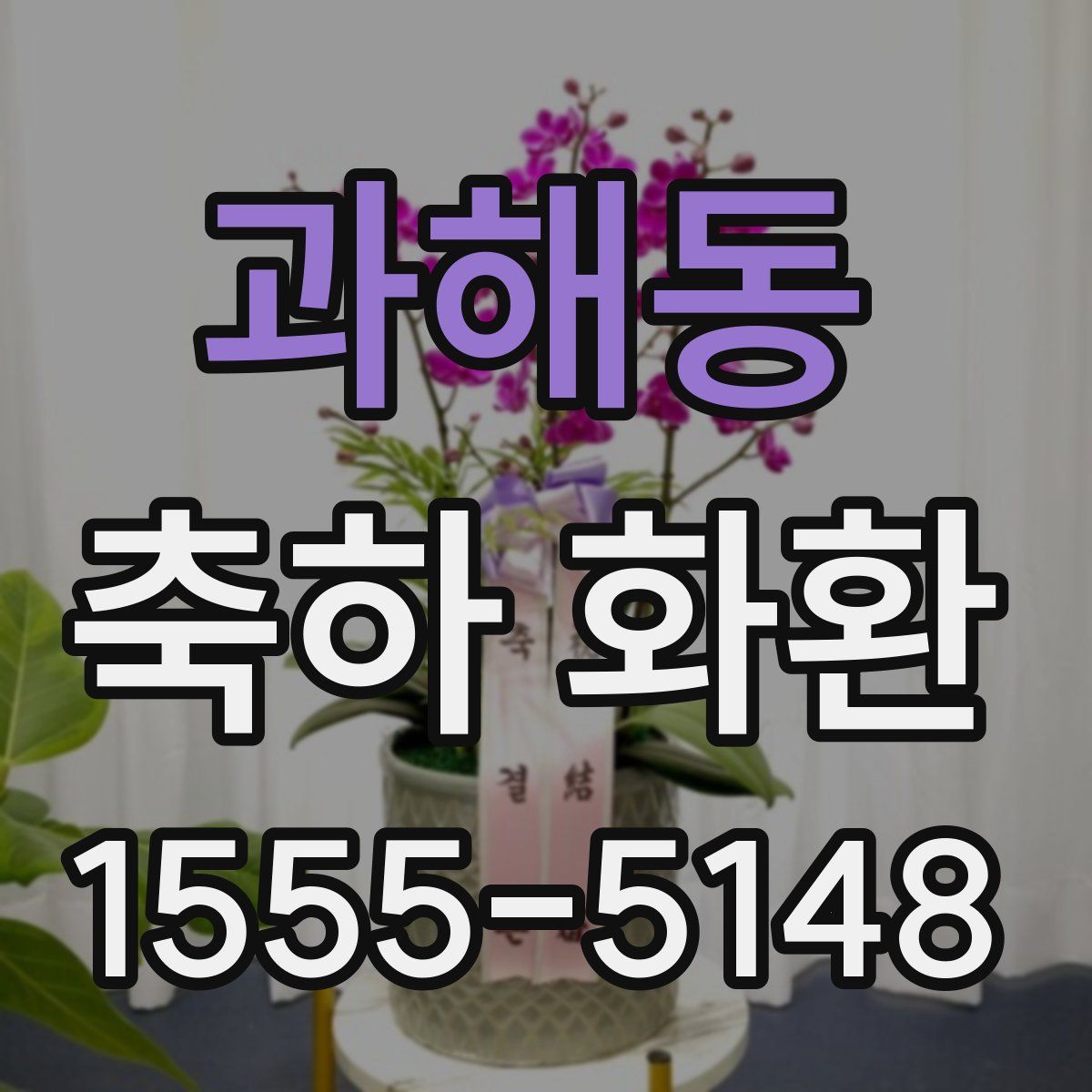 과해동 축하 화환