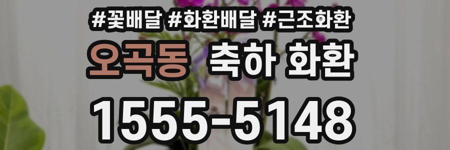 오곡동 축하 화환