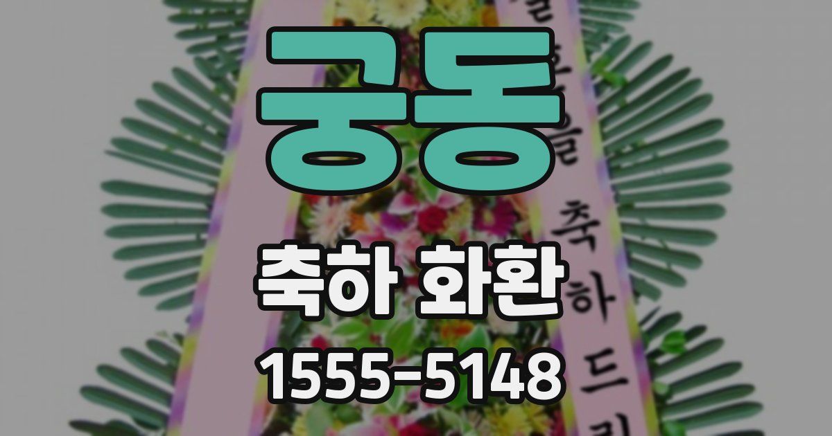 궁동 축하 화환
