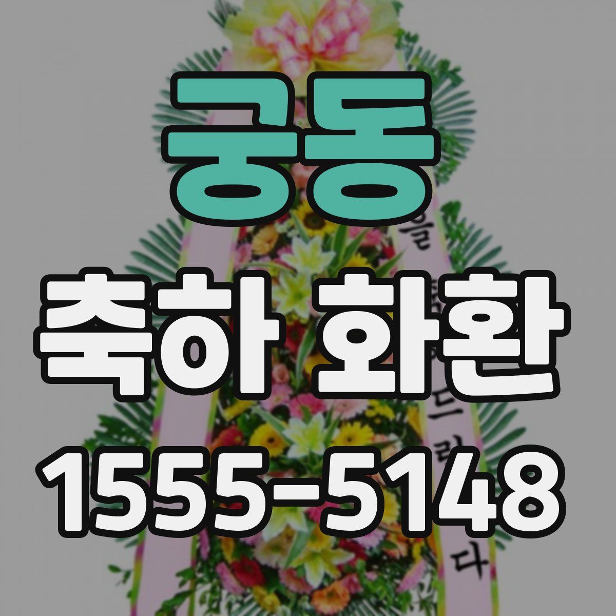 궁동 축하 화환