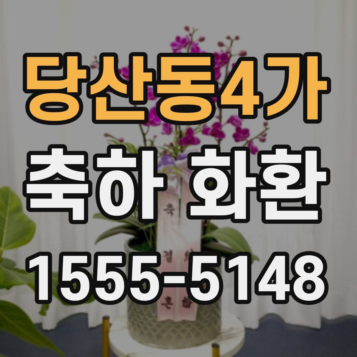 당산동4가 축하 화환