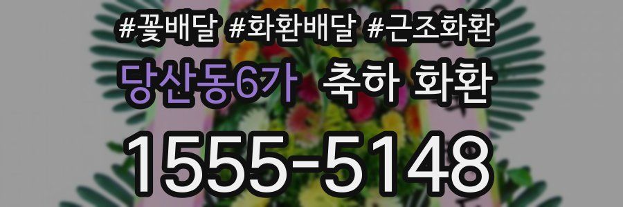 당산동6가 축하 화환