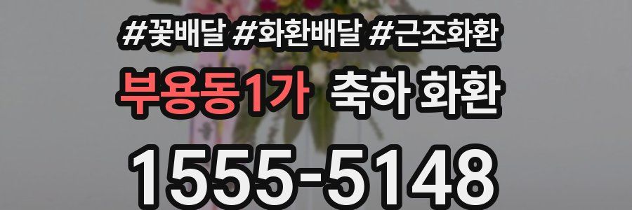 부용동1가 축하 화환