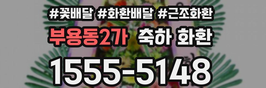 부용동2가 축하 화환