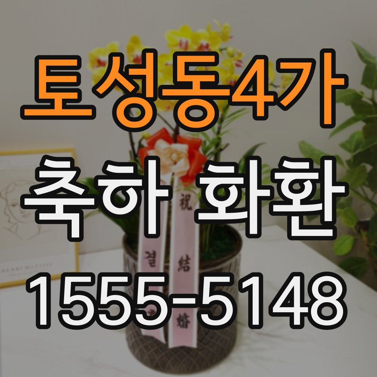 토성동4가 축하 화환