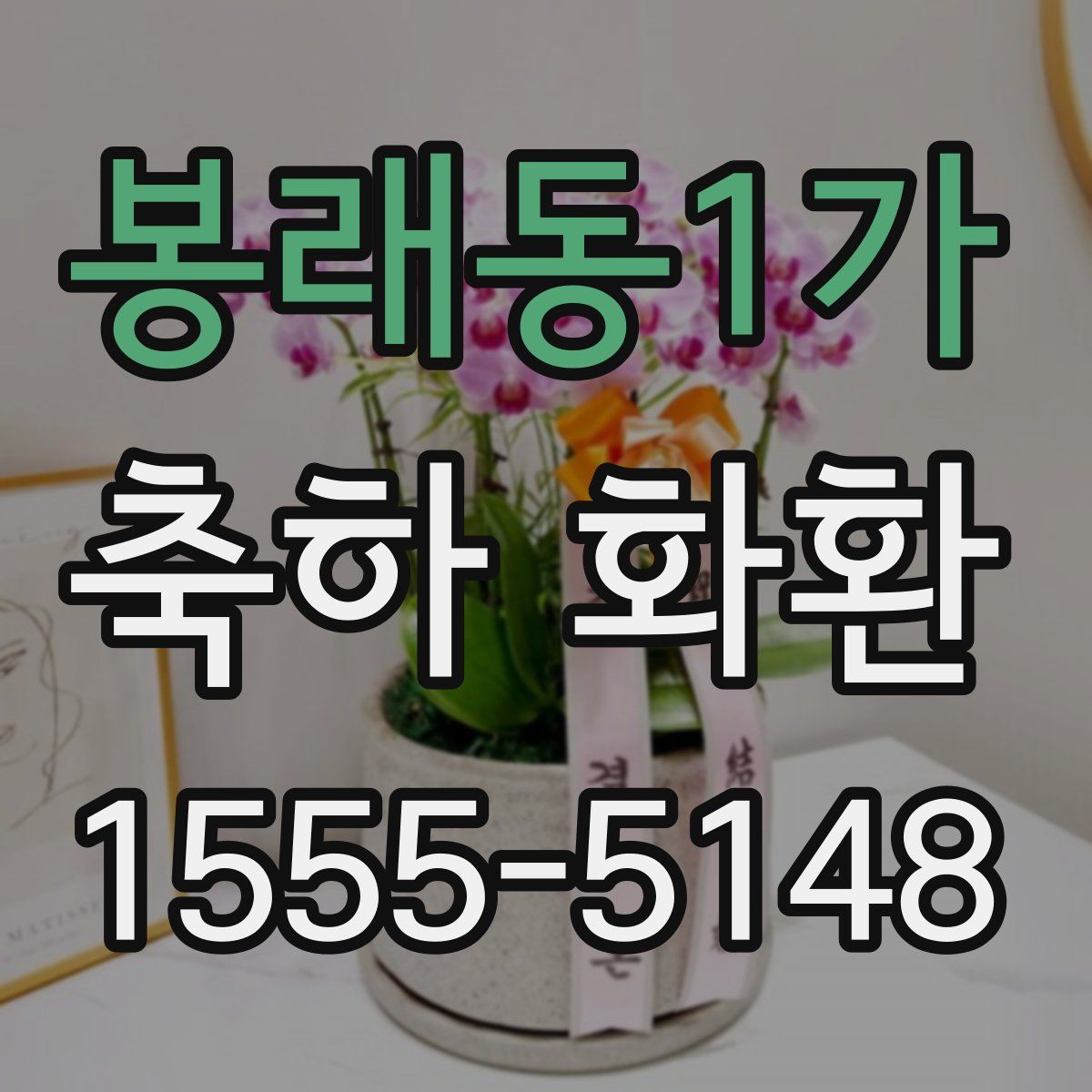 봉래동1가 축하 화환