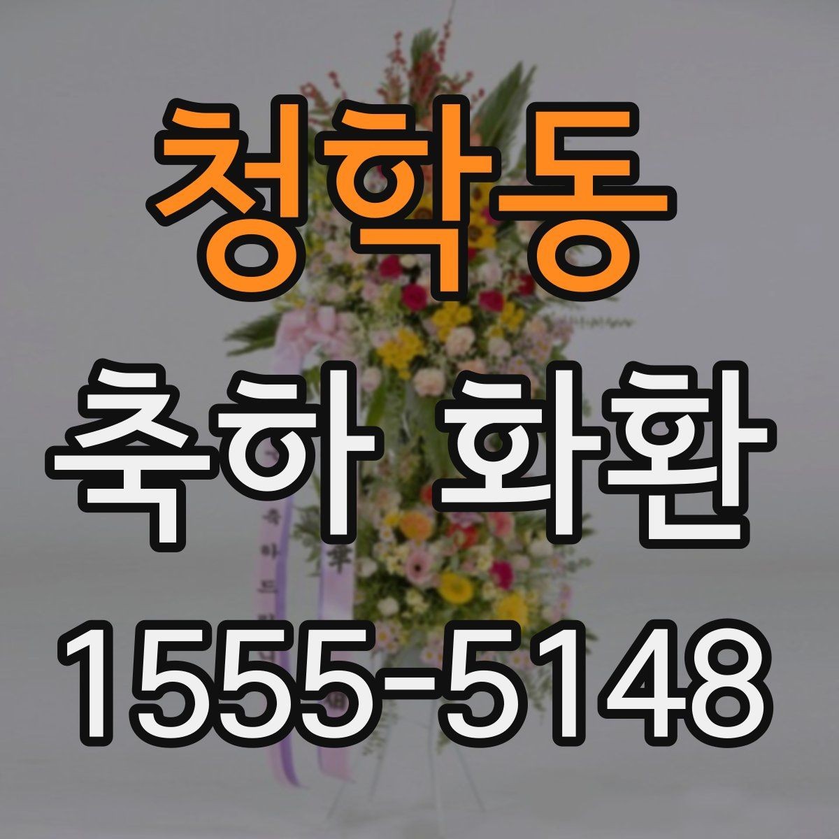 청학동 축하 화환 사진과 실제 느낌 차이 알아보기