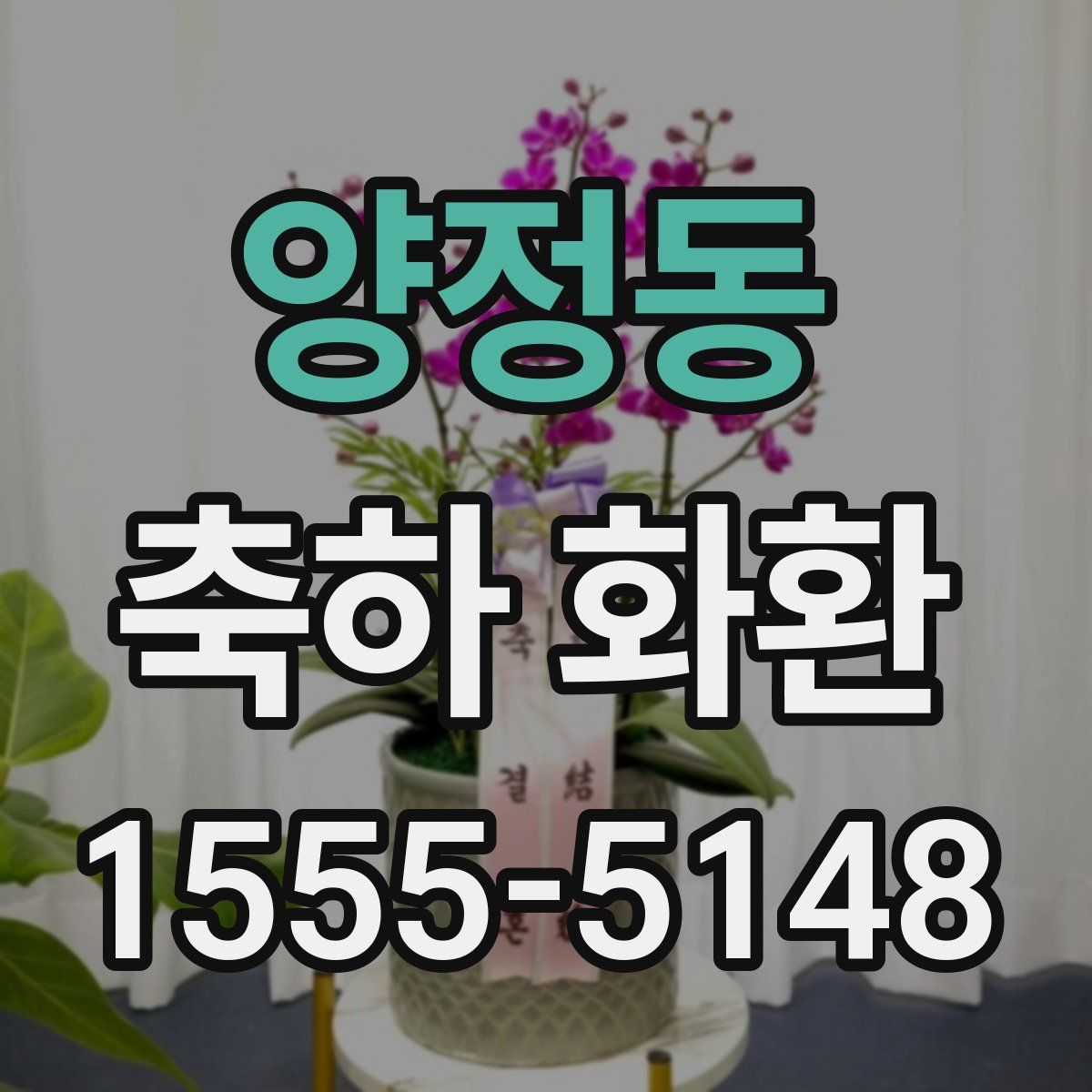 양정동 축하 화환