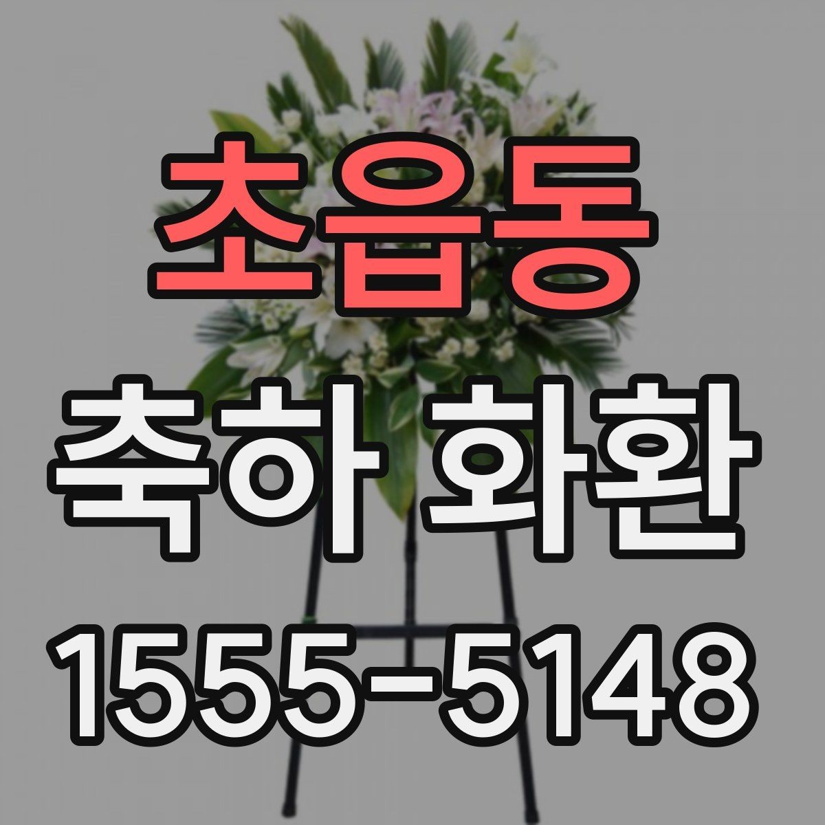 초읍동 축하 화환 종류를 상황에 맞게 고르는 법