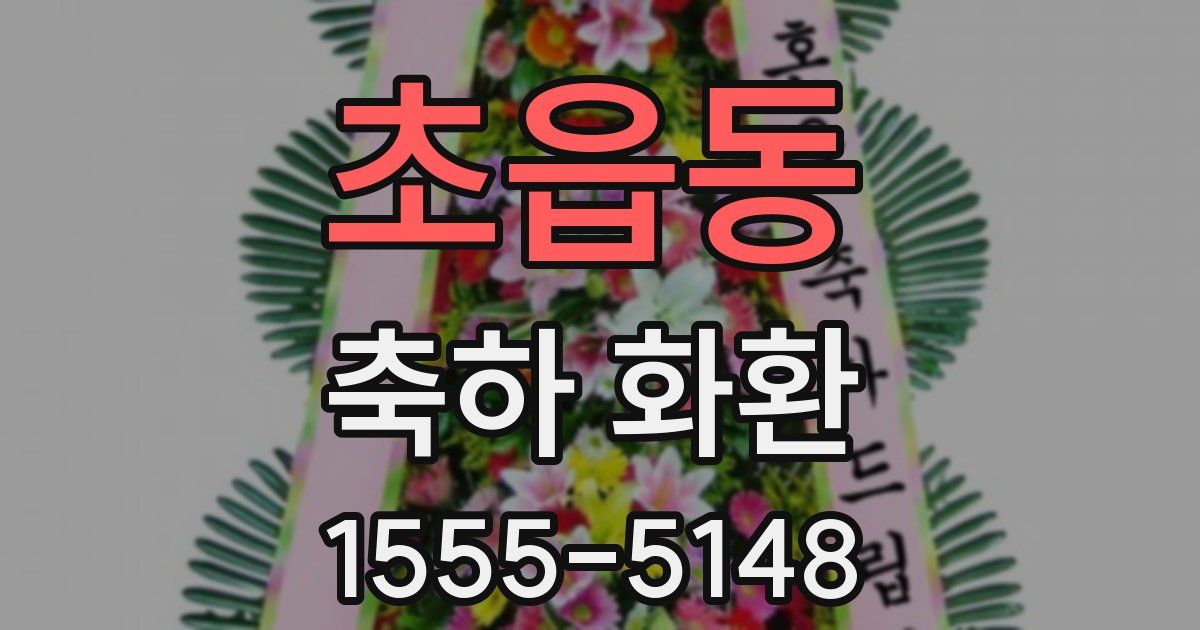 초읍동 축하 화환