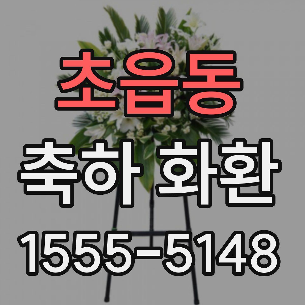 초읍동 축하 화환