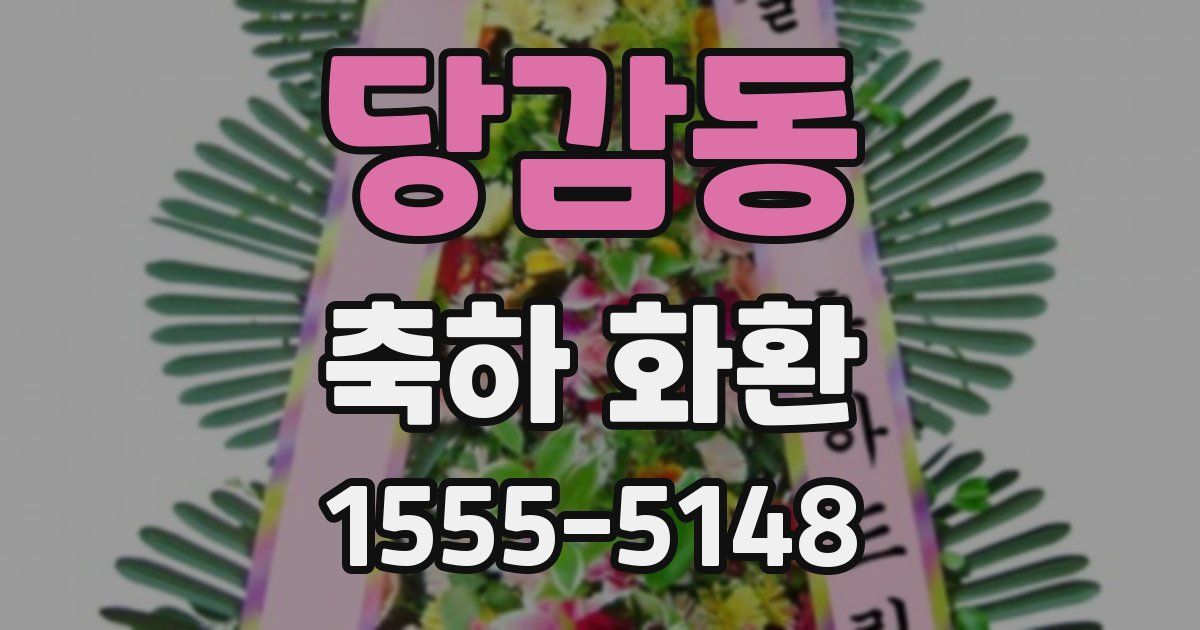 당감동 축하 화환