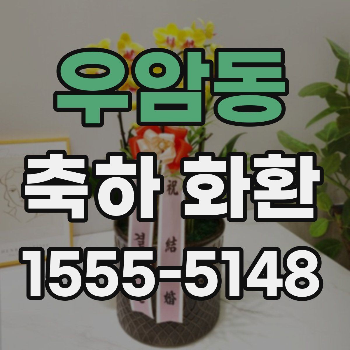 우암동 축하 화환 예산별 구성 예시 살펴보기