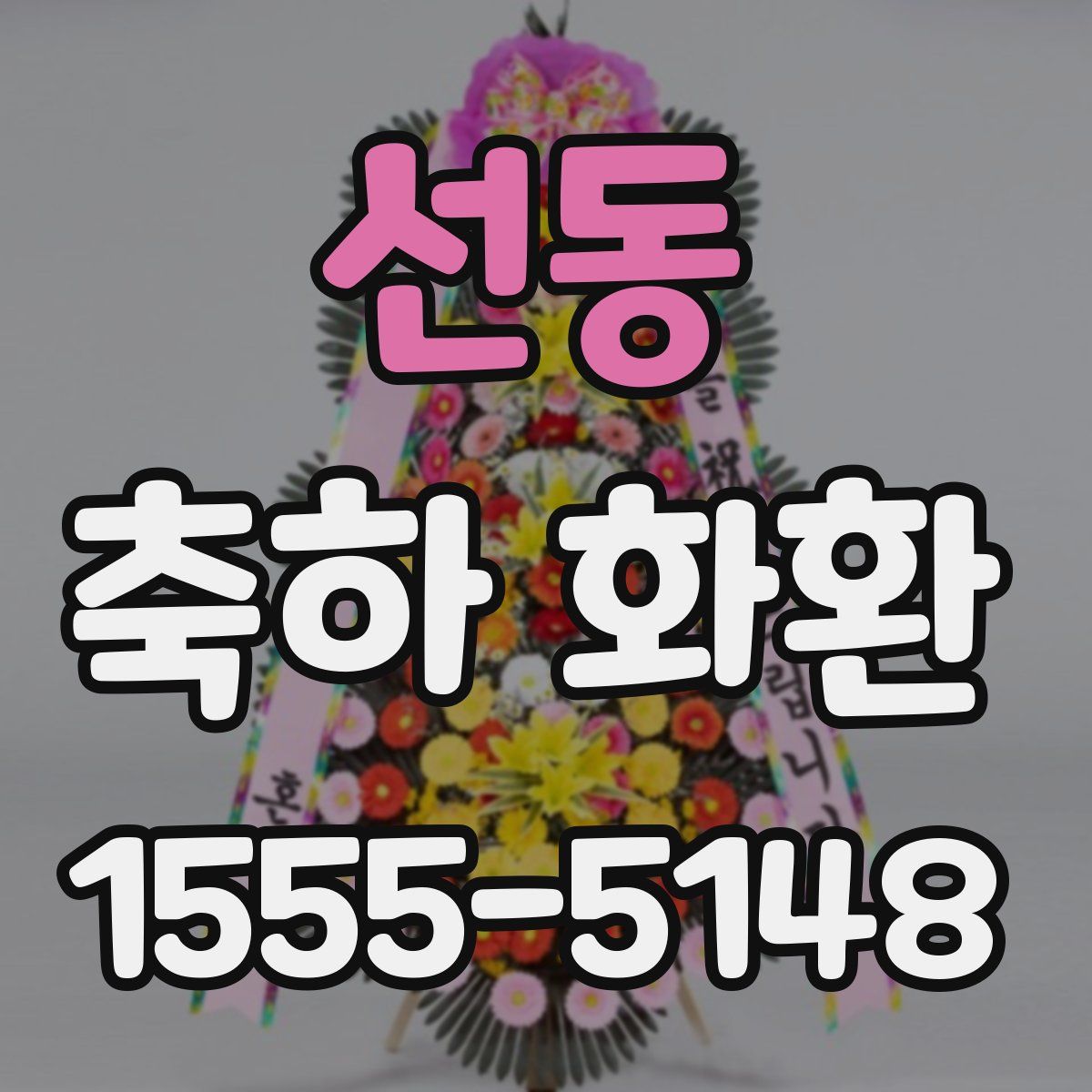 선동 축하 화환
