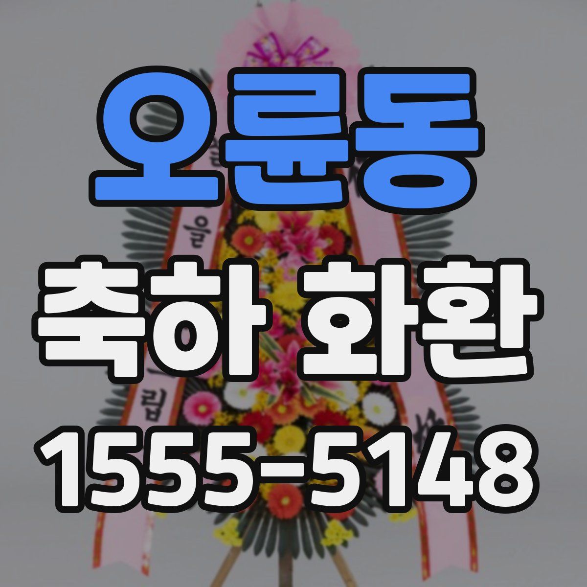 오륜동 축하 화환