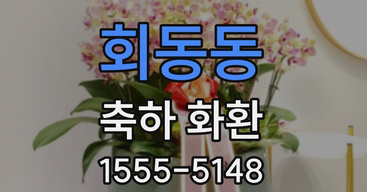 회동동 축하 화환