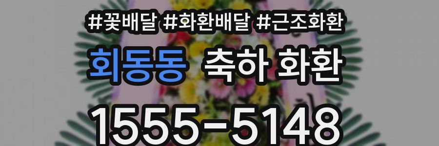회동동 축하 화환
