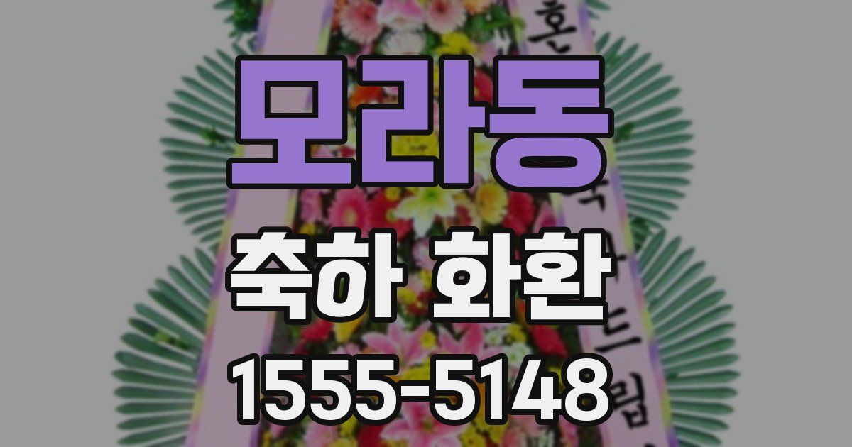모라동 축하 화환