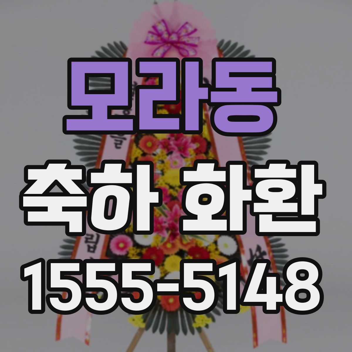 모라동 축하 화환