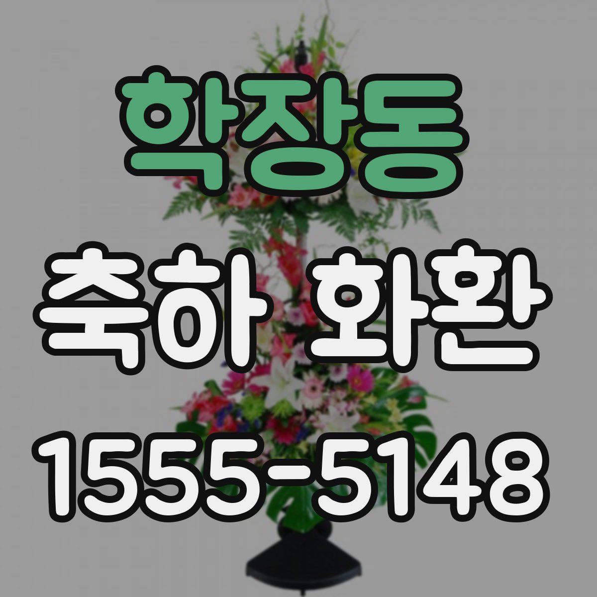 학장동 축하 화환